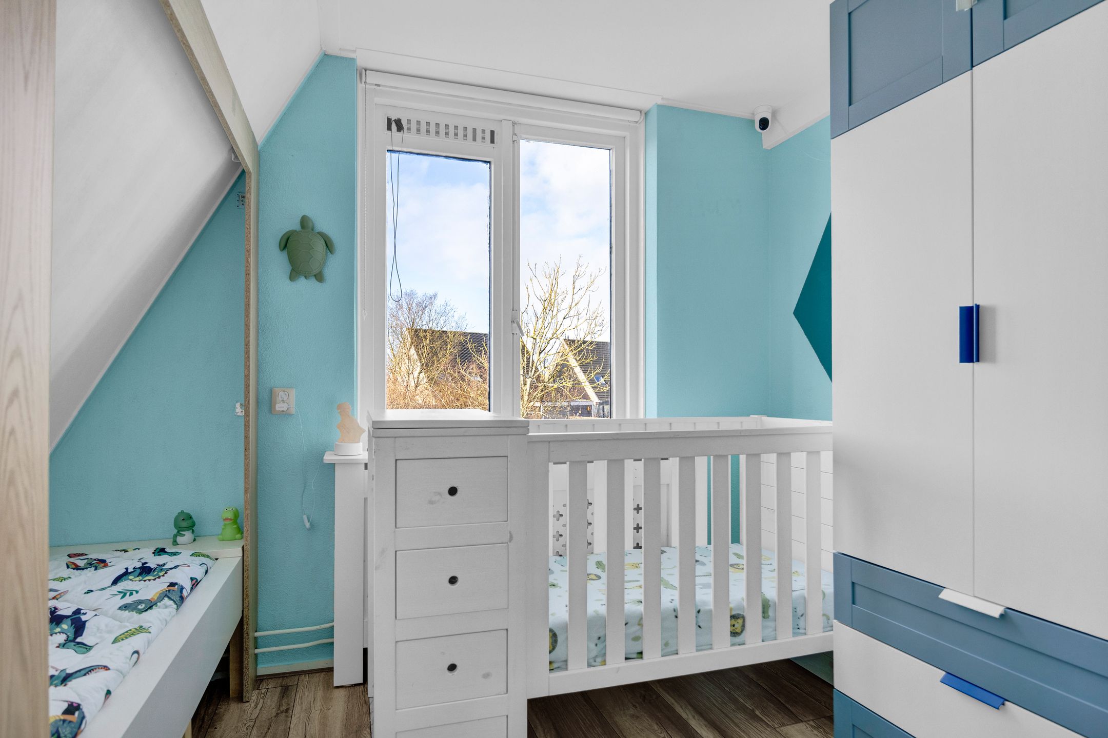 Photo 24 of It Leech 12