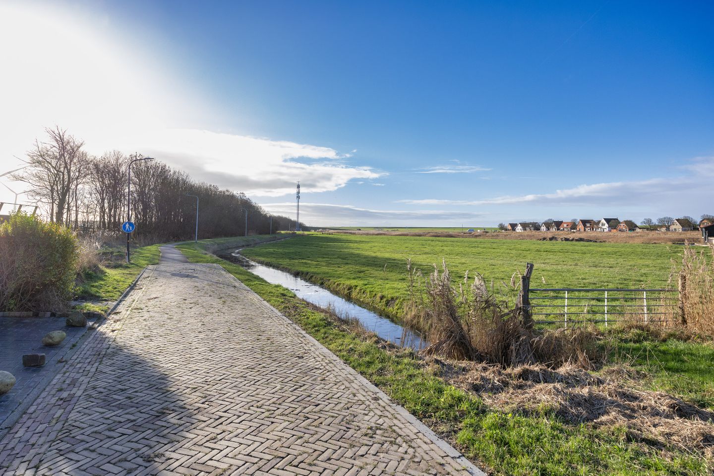 Photo 34 of It Leech 12