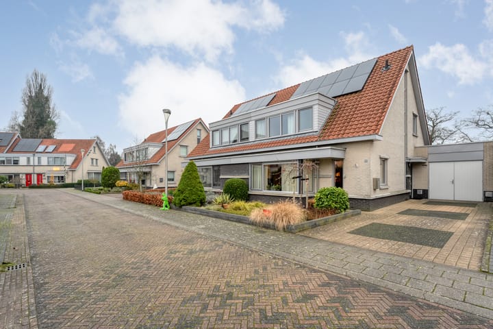 Foto 4 van Sterappel 23