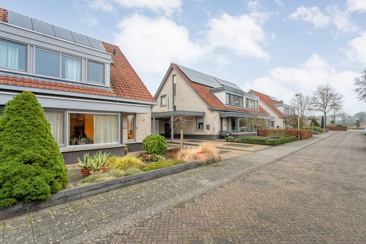 Foto 5 van Sterappel 23