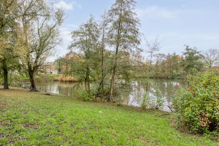 Foto 4 van Erasmusdomein 35-B