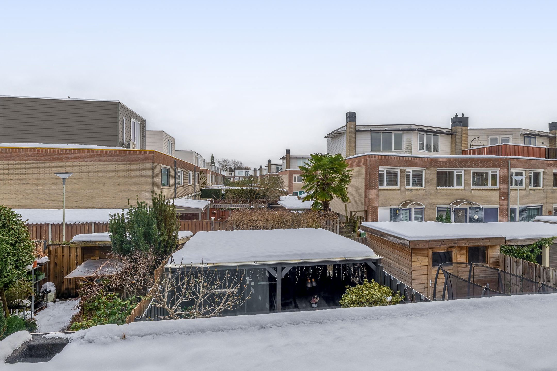 Foto 45 van Adrienne Solserpad 8