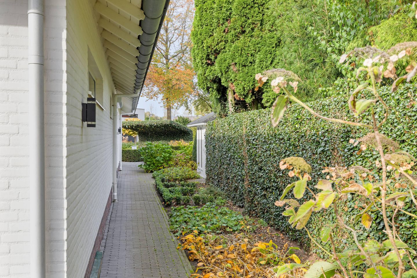 Photo 49 of Eikenlaan 21