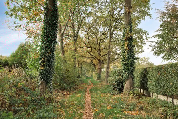 Foto 58 van Eikenlaan 21