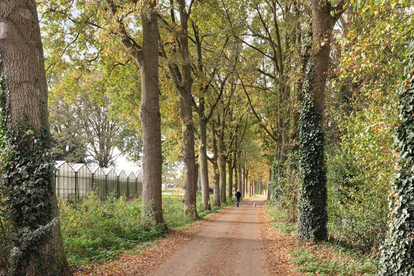 Photo 59 of Eikenlaan 21