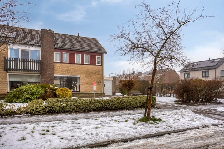 Foto 5 van It String 18