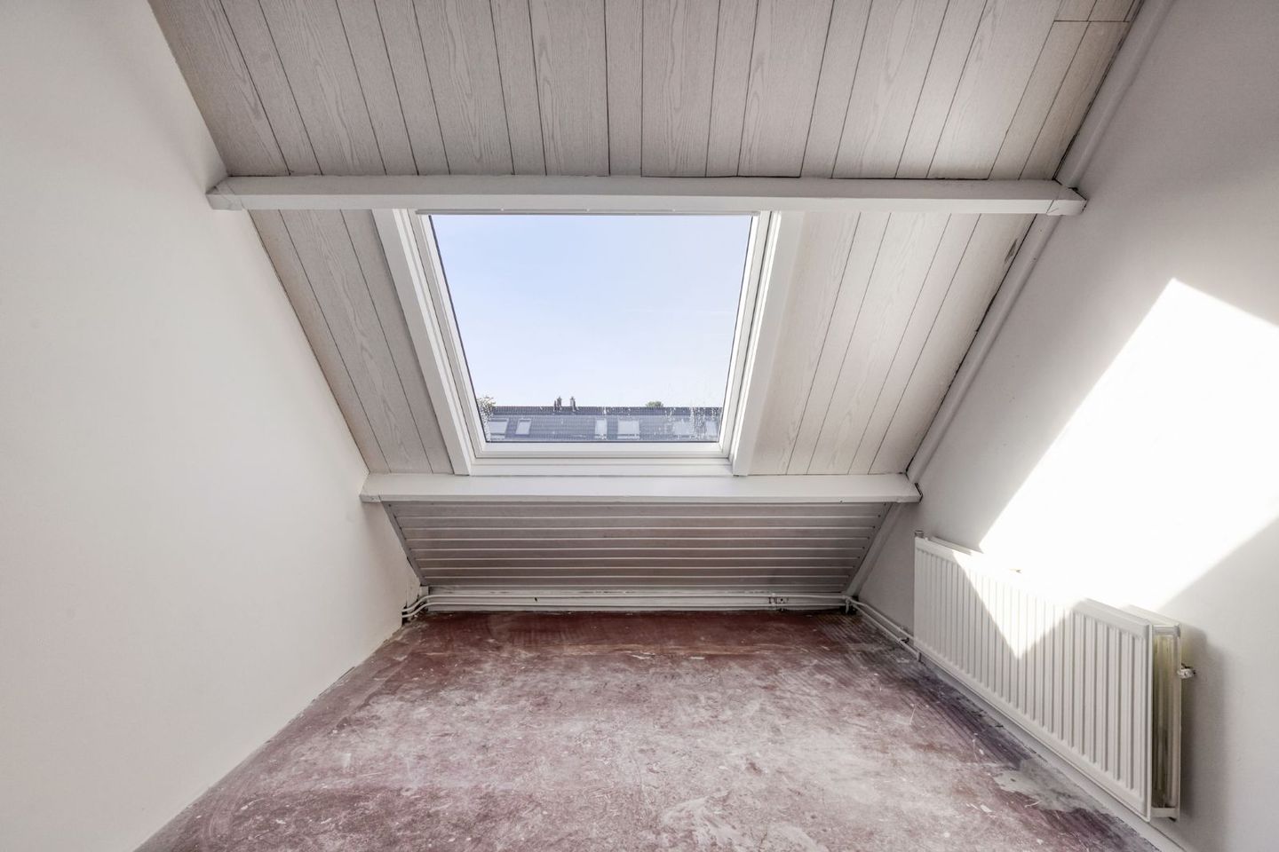 Foto 19 van Botter 31 7