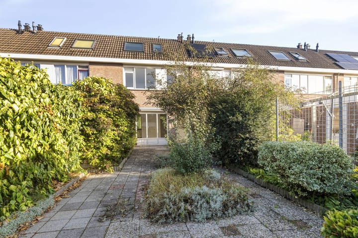 Foto 22 van Botter 31 7