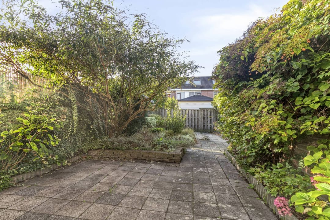 Foto 23 van Botter 31 7