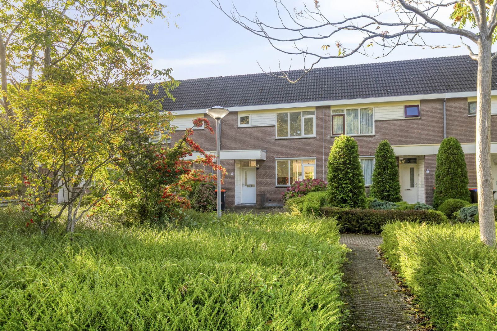 Foto 24 van Botter 31 7