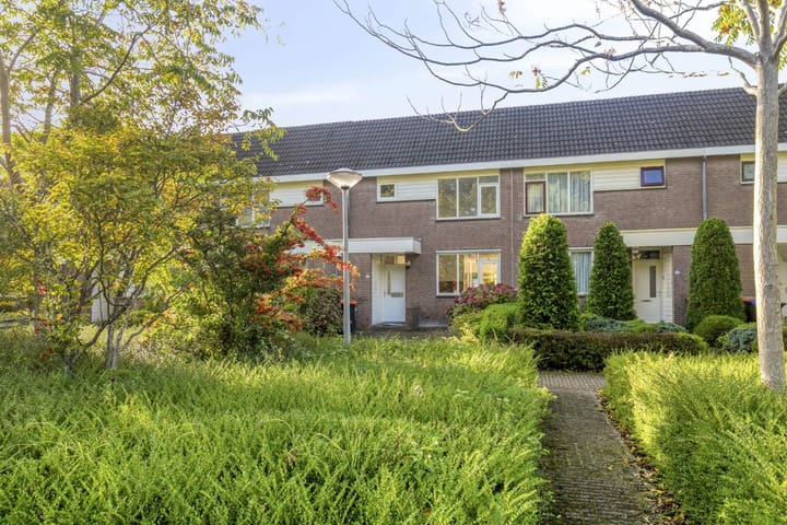 Foto 24 van Botter 31 7