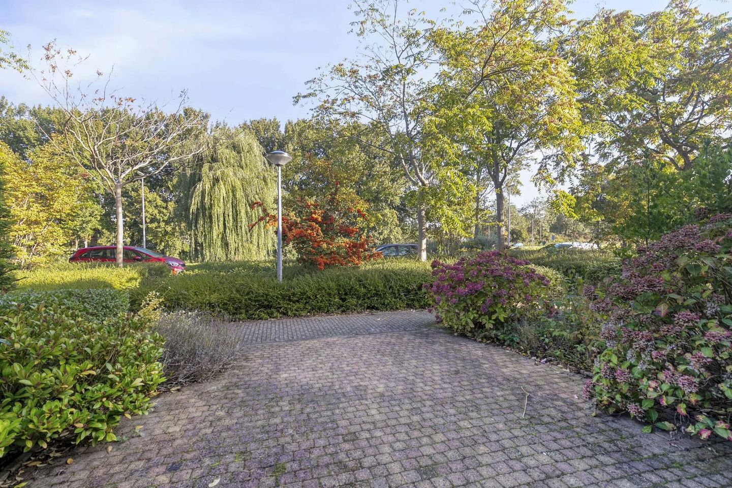 Foto 25 van Botter 31 7