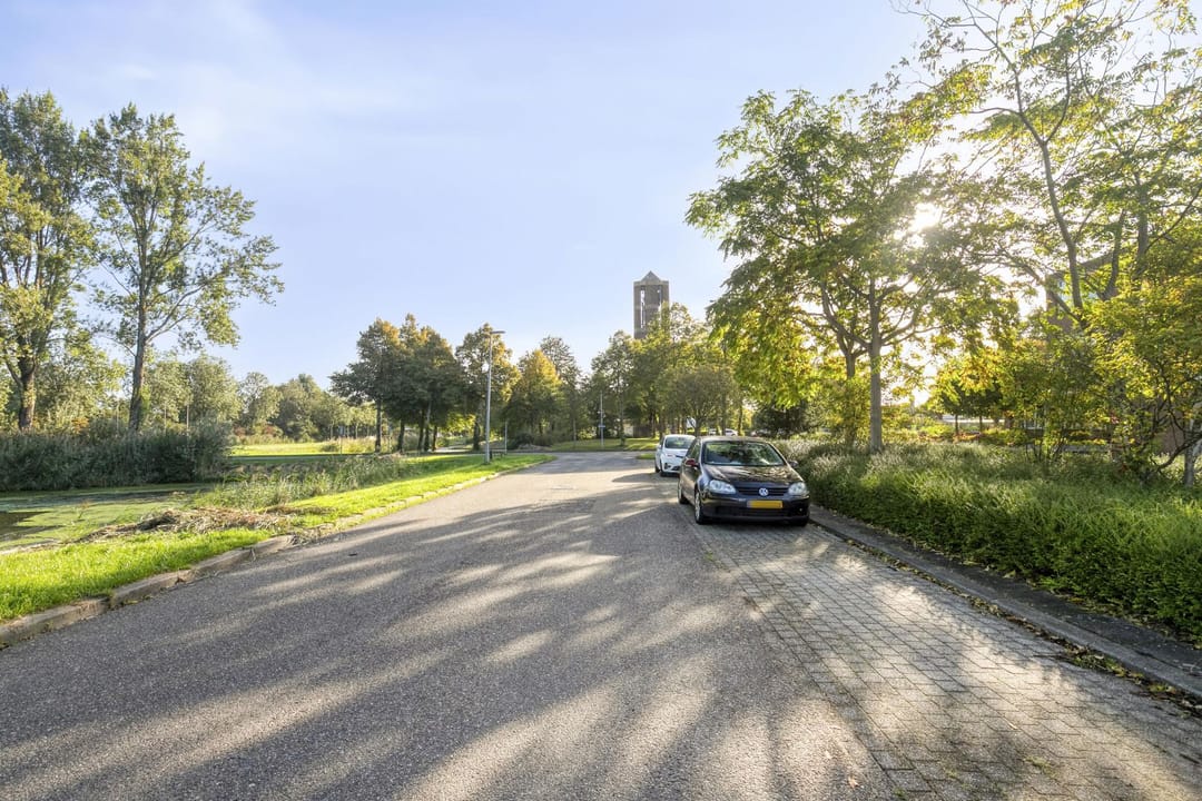 Foto 26 van Botter 31 7