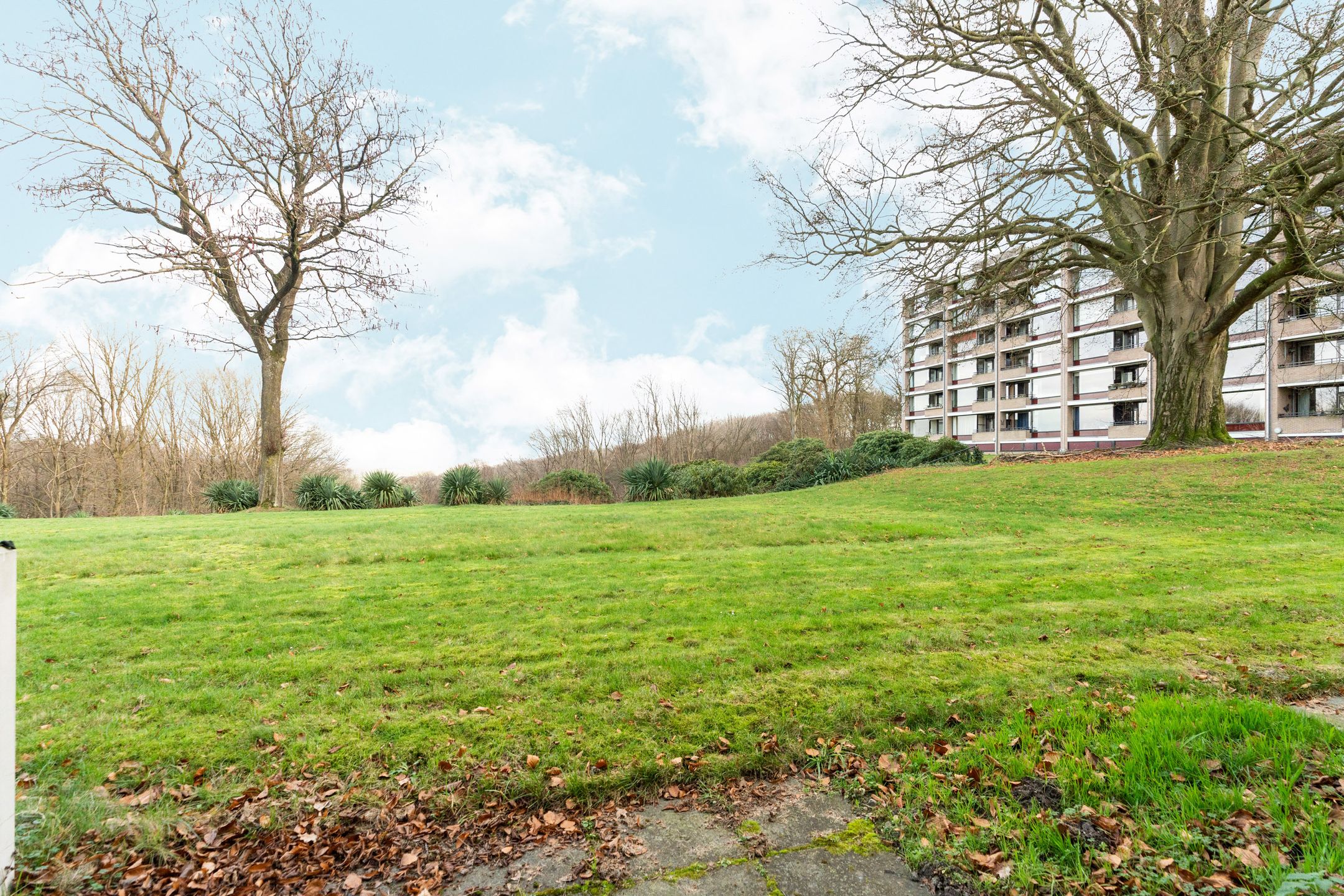 Foto 3 van Oude Kleefsebaan 225-E