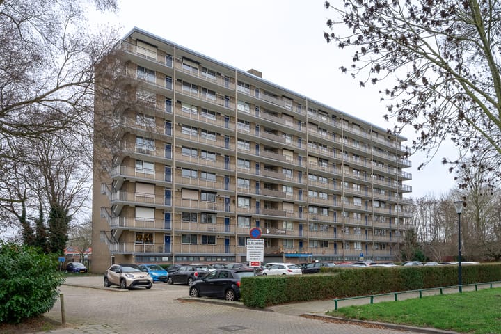 Hobokenstraat 485 main image