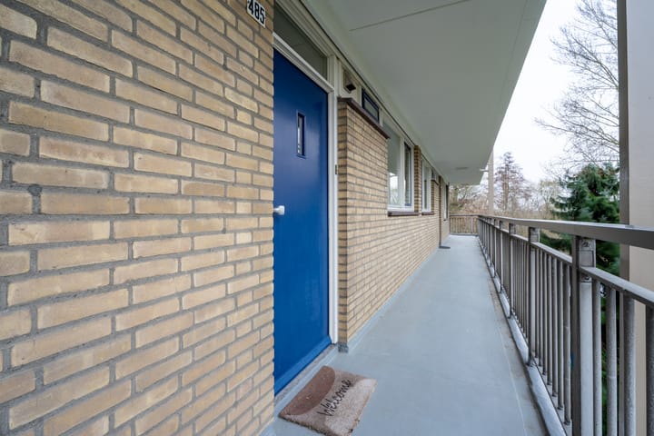 Foto 5 van Hobokenstraat 485