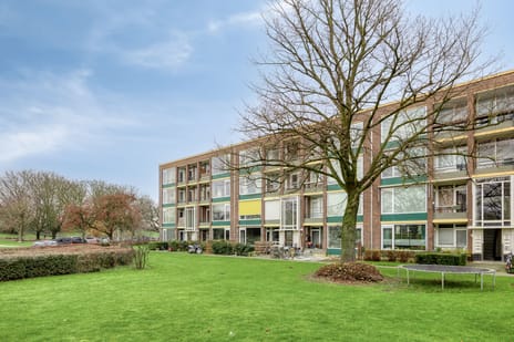 Orchislaan thumbnail