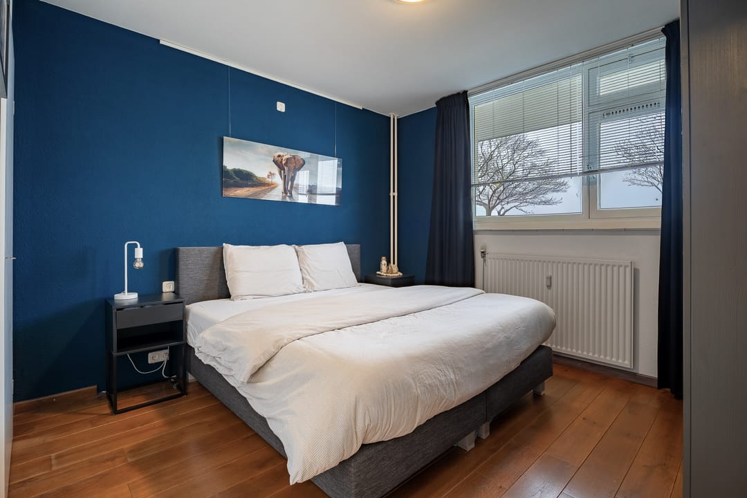 Foto 13 van Schapendries 69