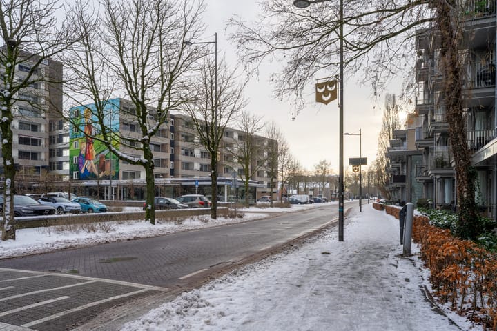 Foto 21 van Schapendries 69