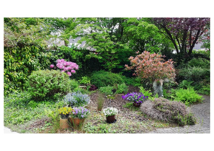 Foto 33 van Maansteen 4