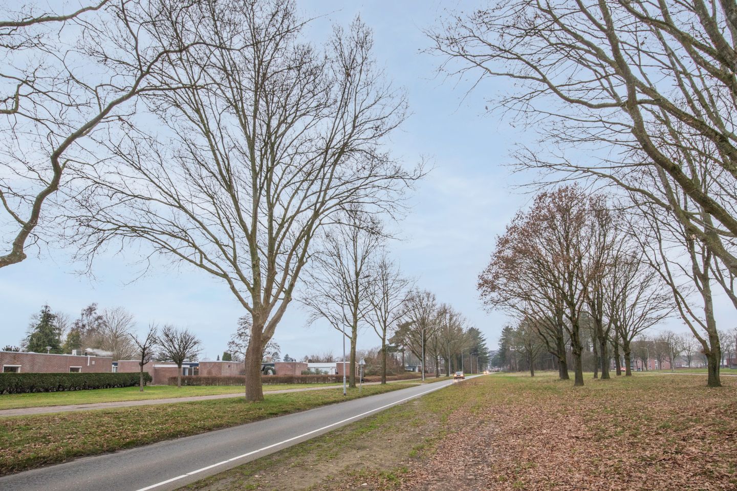 Foto 20 van Laan van de Iemenhees 44