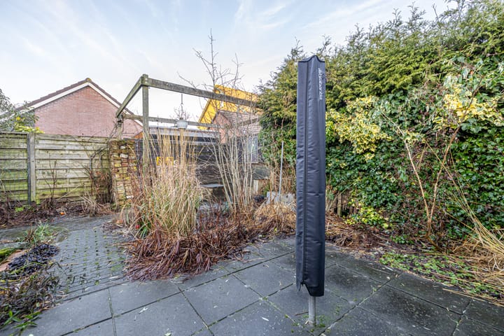 Foto 62 van Nijbuorren 34