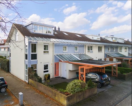 Bitterkruid thumbnail