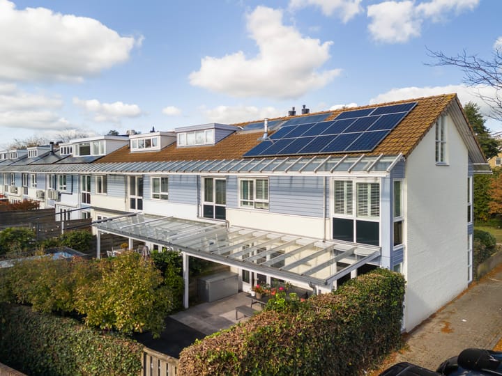 Foto 33 van Bitterkruid 49