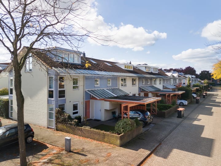 Foto 34 van Bitterkruid 49