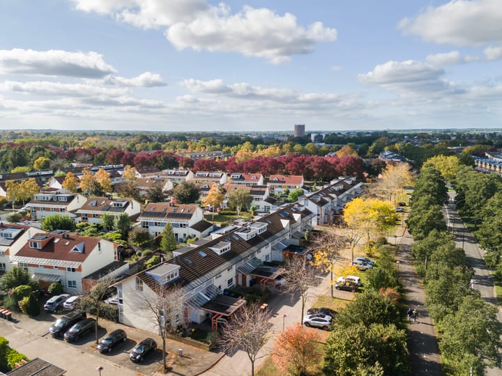 Foto 35 van Bitterkruid 49