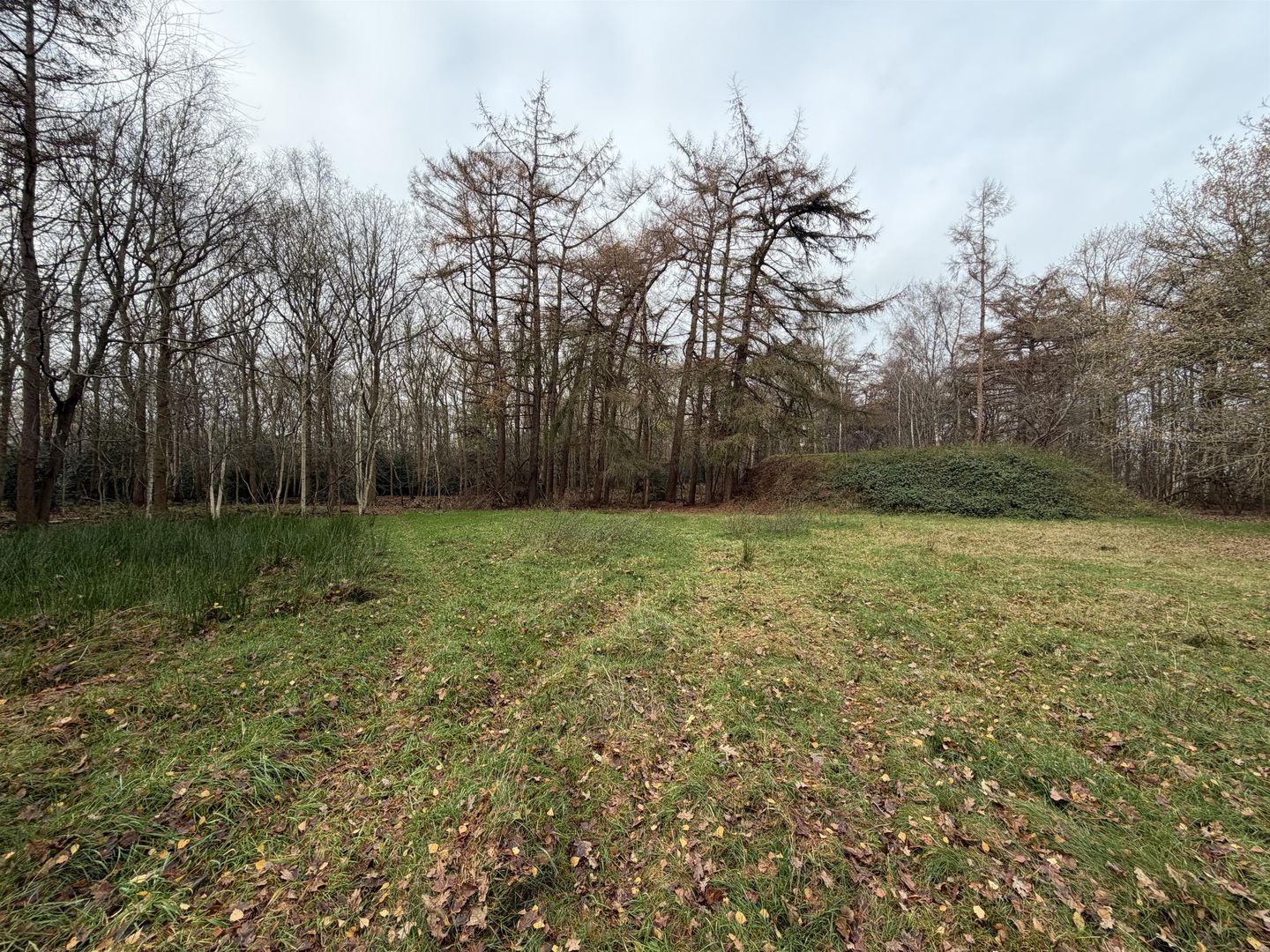 Bekijk foto 2 van Jan Jonkmanweg 