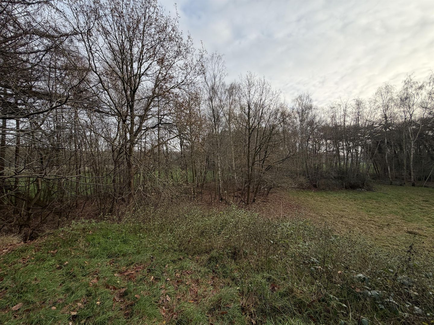 Bekijk foto 3 van Jan Jonkmanweg 