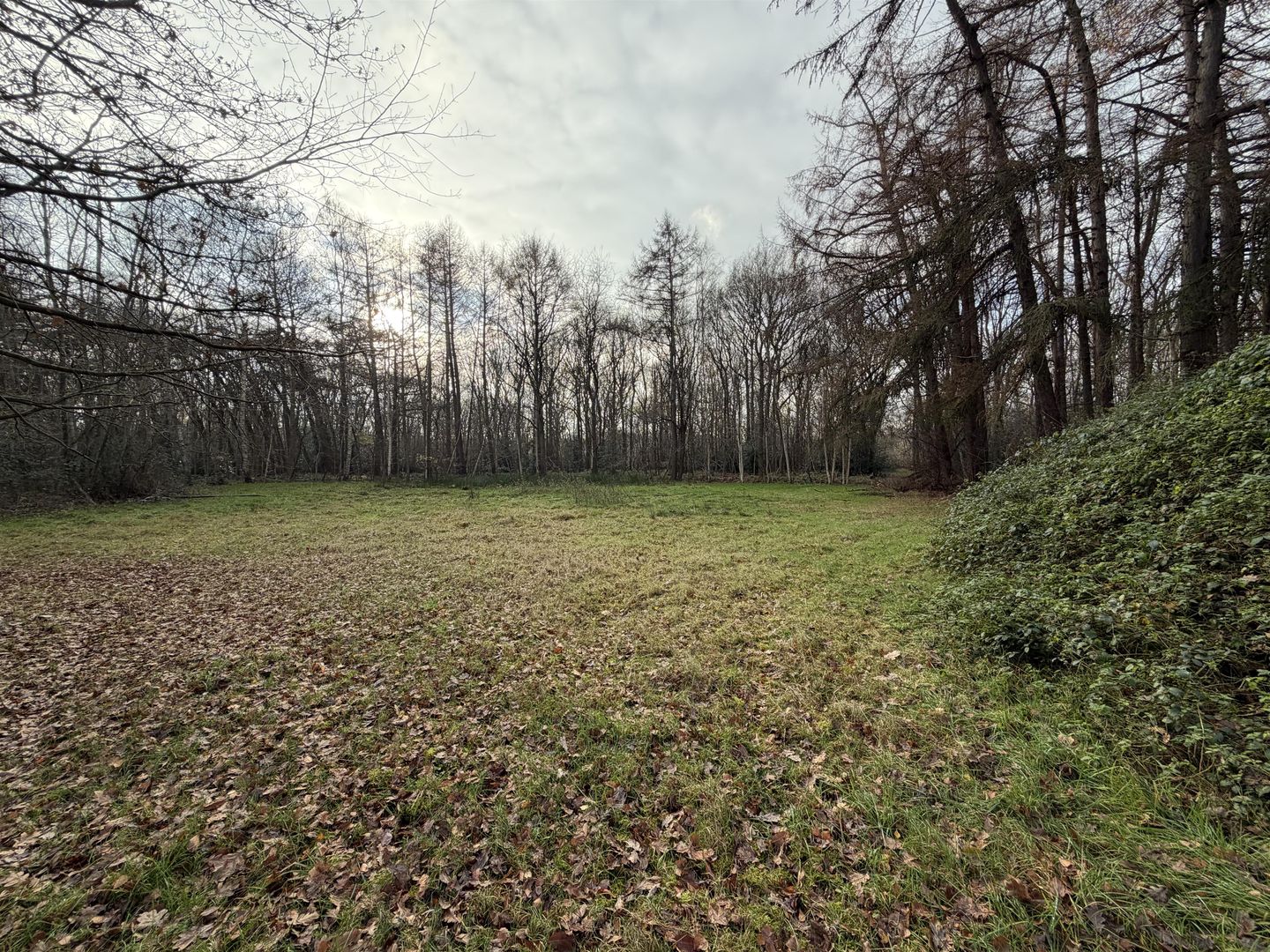 Bekijk foto 4 van Jan Jonkmanweg 