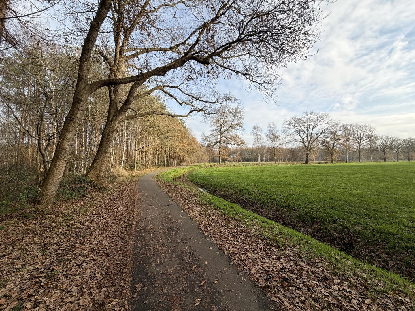 Bekijk foto 5 van Jan Jonkmanweg 