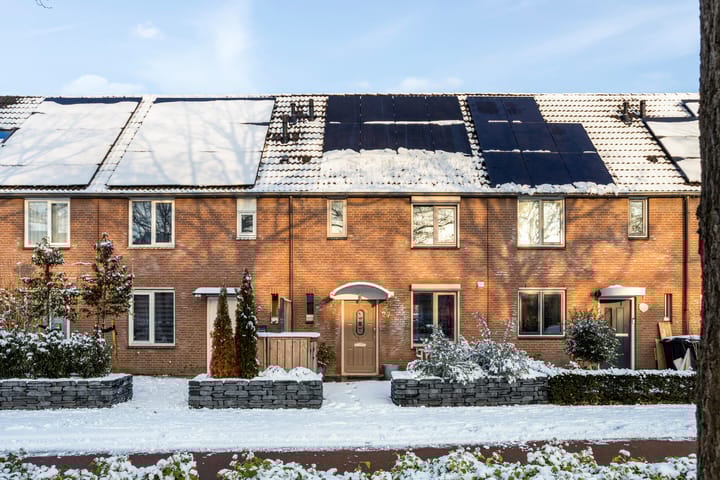 Foto 1 van Schoonhout 27