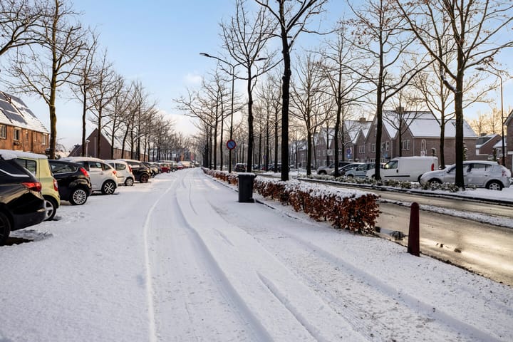 Foto 28 van Schoonhout 27