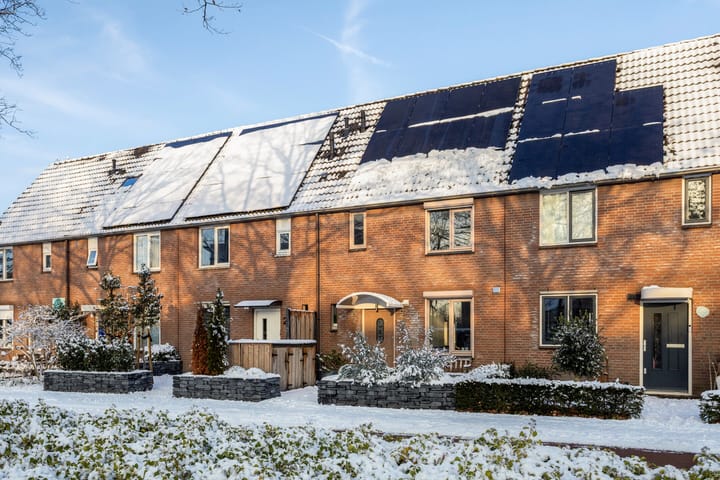 Foto 29 van Schoonhout 27