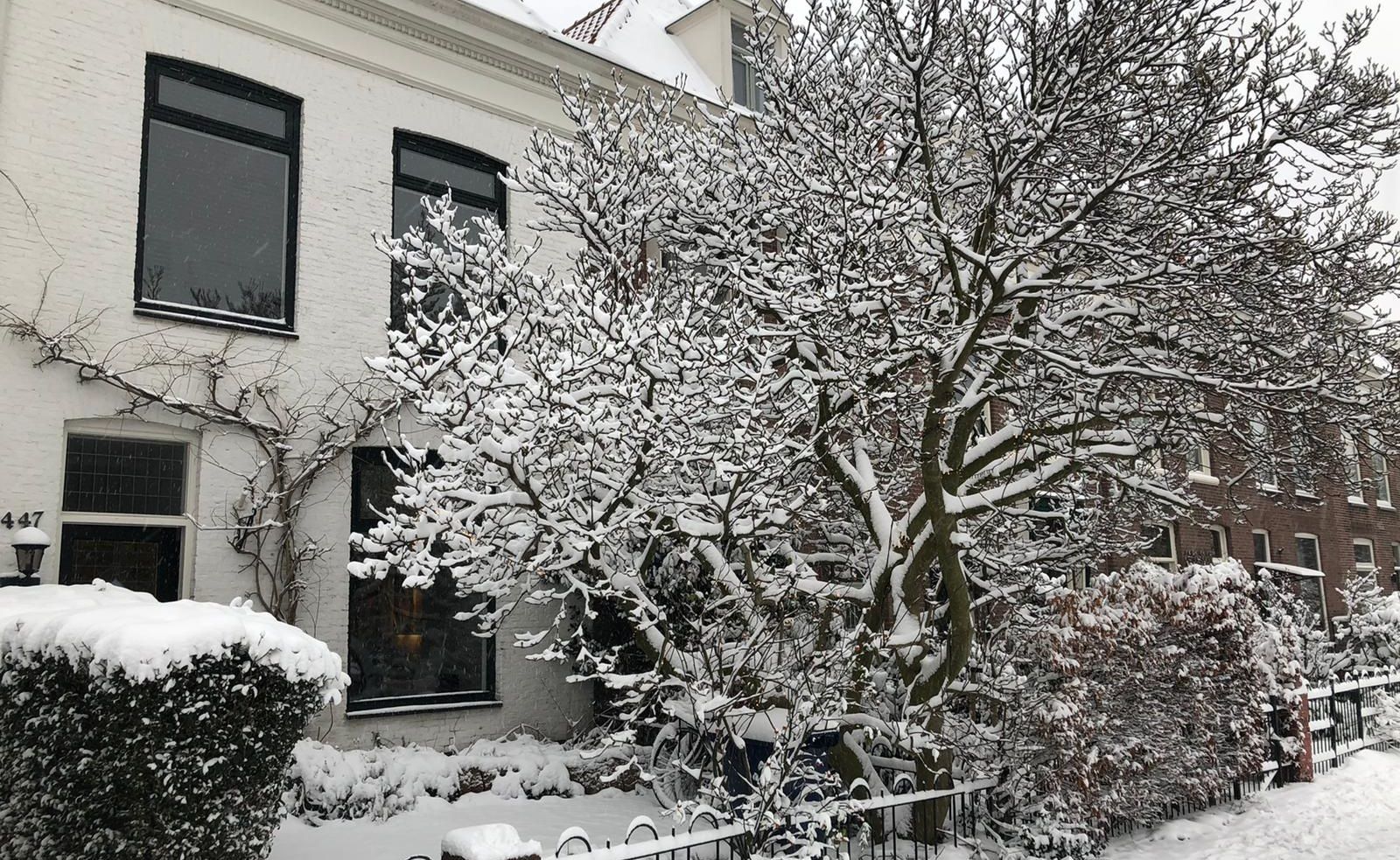 Foto 66 van Waldeck Pyrmontkade 447