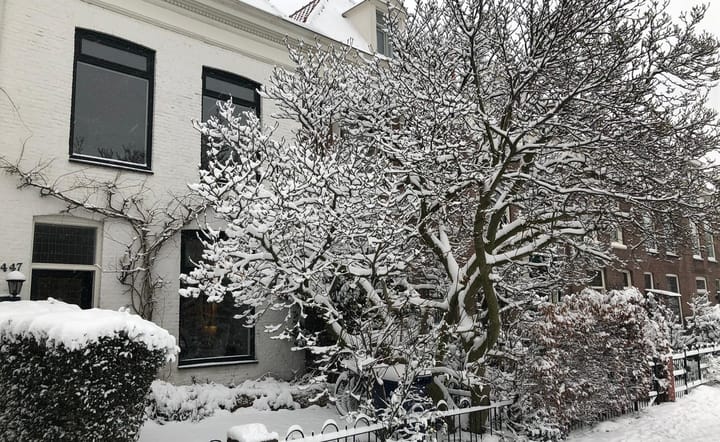 Foto 66 van Waldeck Pyrmontkade 447