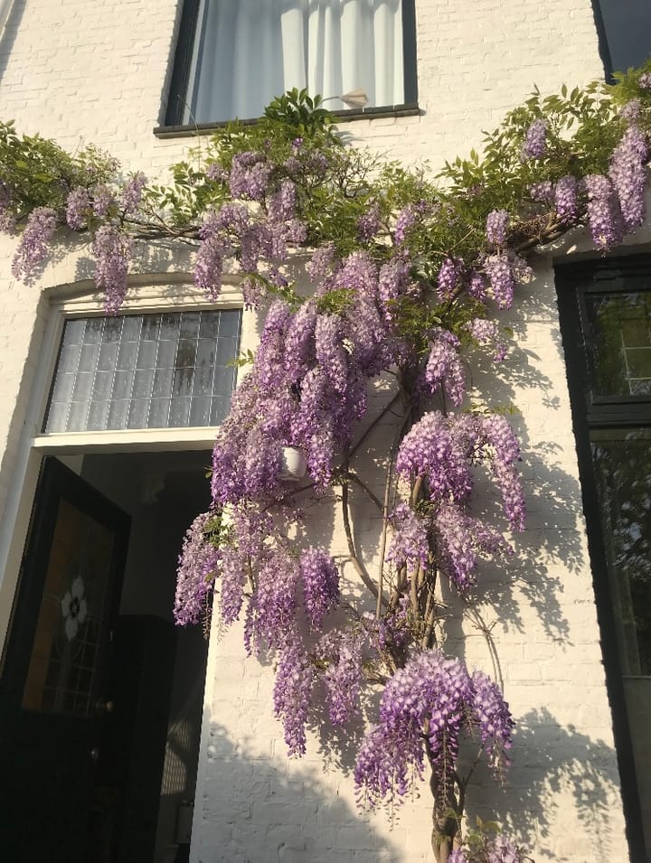 Foto 68 van Waldeck Pyrmontkade 447