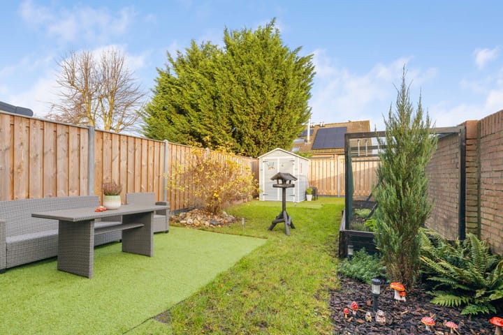 Foto 11 van Punter 45 2