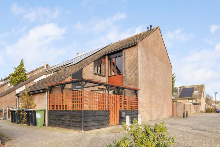 Foto 29 van Punter 45 2