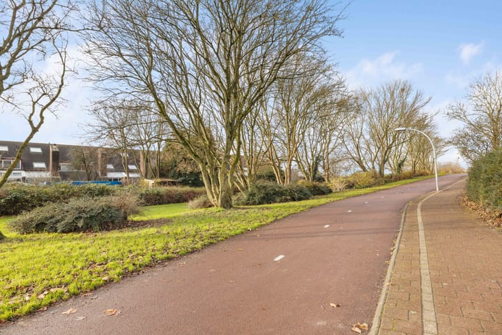 Foto 32 van Punter 45 2