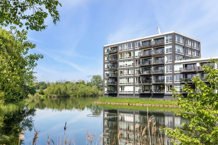 Foto 2 van Bosboompad 44