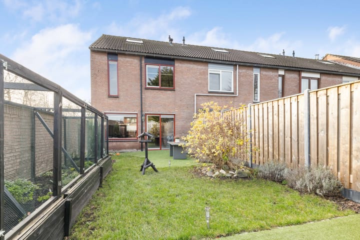 Foto 12 van Punter 45 2