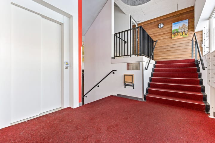 Foto 25 van Bosboompad 44