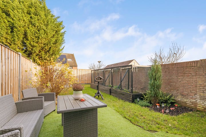 Foto 10 van Punter 45 2