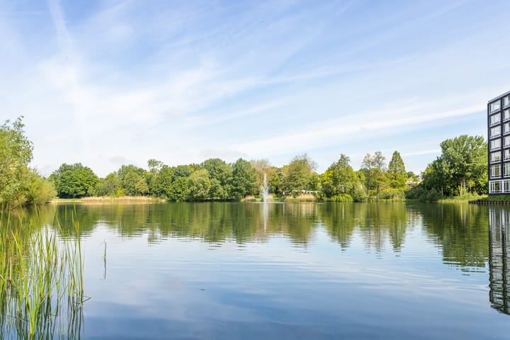 Foto 31 van Bosboompad 44