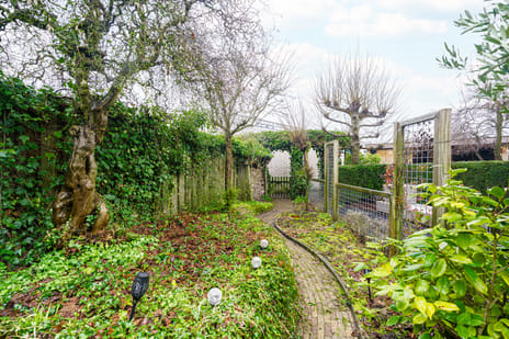 Gangboord 88 tertiary image