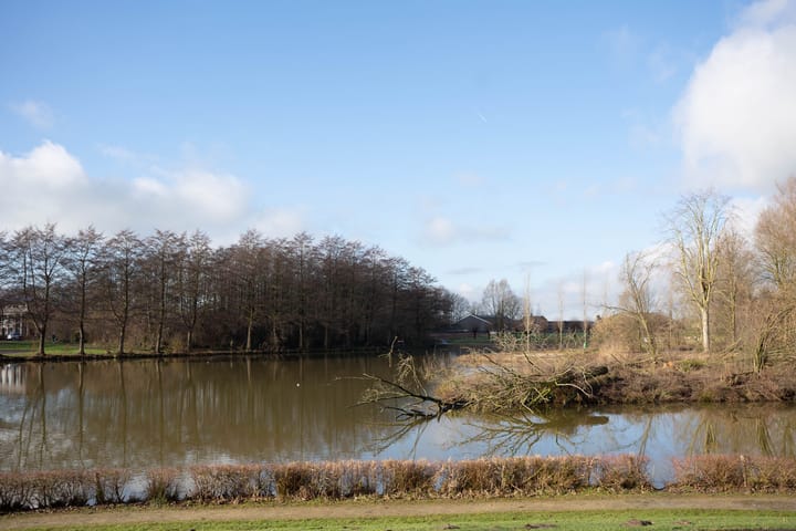 Foto 38 van Dijkstoel 55